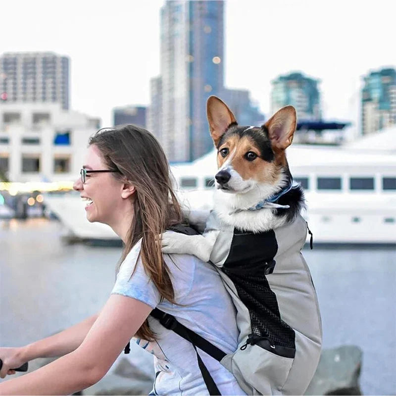 Breathable Pet Carrier Backpack for Dogs & Cats – TravelPure™