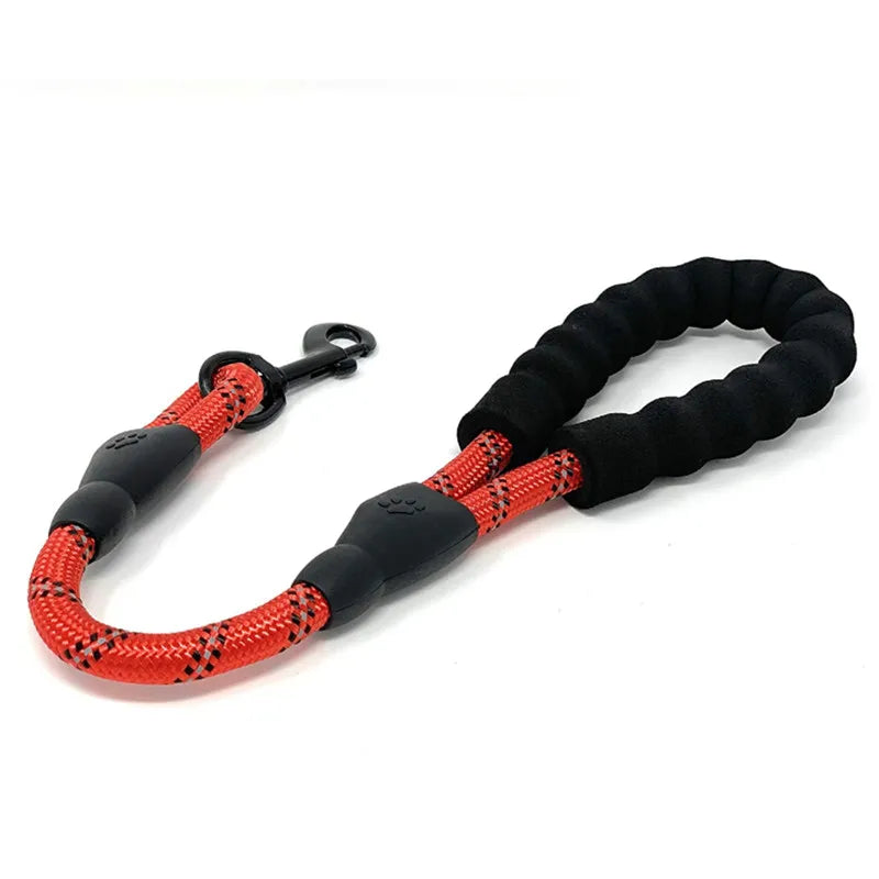 Nylon Reflective Dog Leash – TrailView™