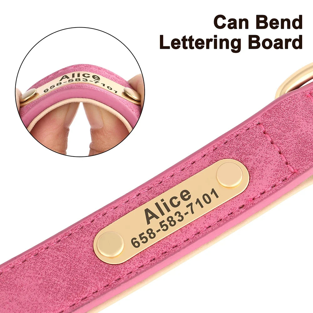 Tailented PawLink™ – Adjustable Dog Collar for Everyday Wear & Walking