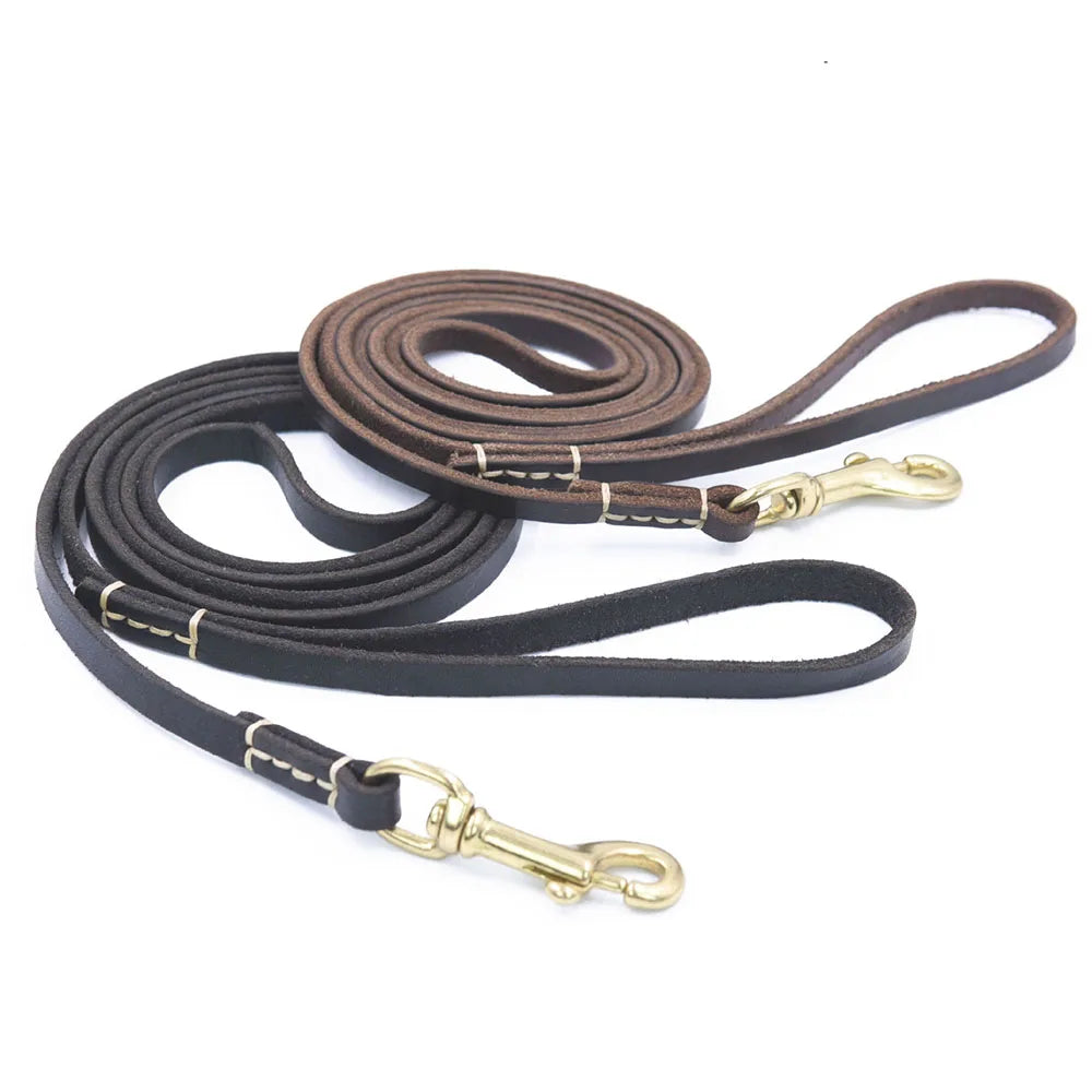 Tailented WalkPaws™ – Leather Dog Leash for Cats