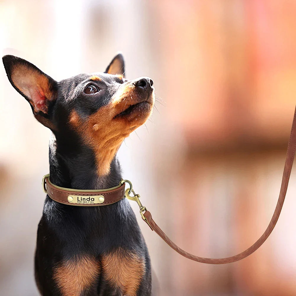 Tailented RouteLuxe™ – 5ft Leather Dog Leash for Everyday Walks