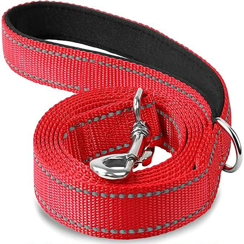 Tailented LeadFlow™ – Nylon Reflective Dog Leash for Everyday Walks