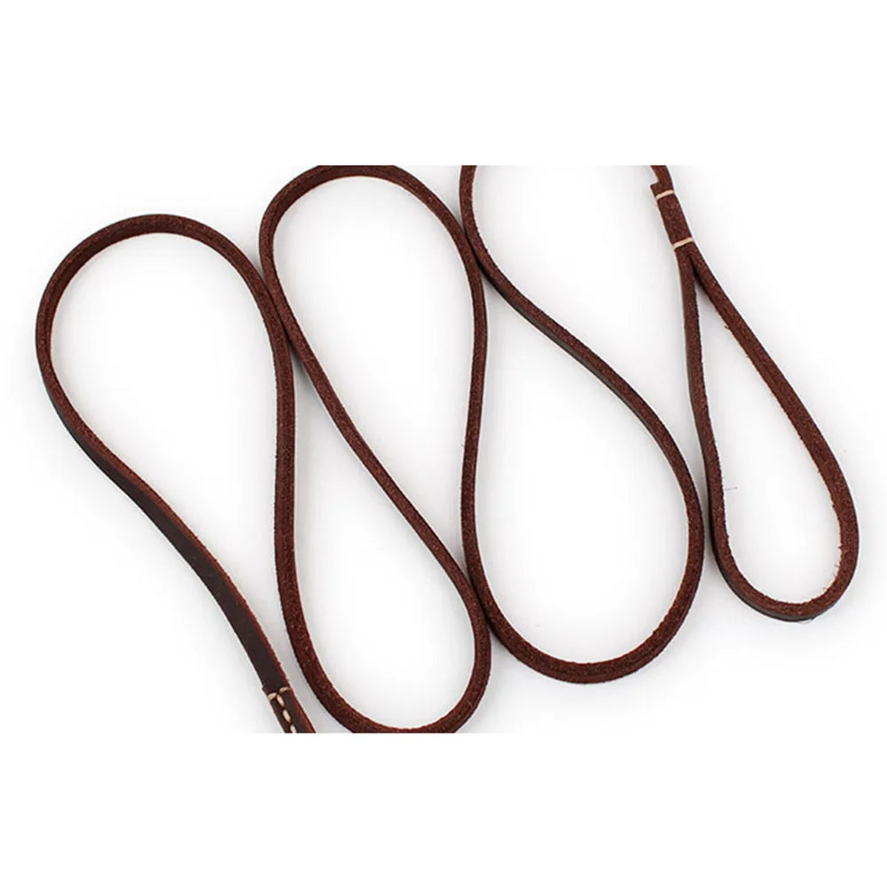 Tailented WalkPaws™ – Leather Dog Leash for Cats