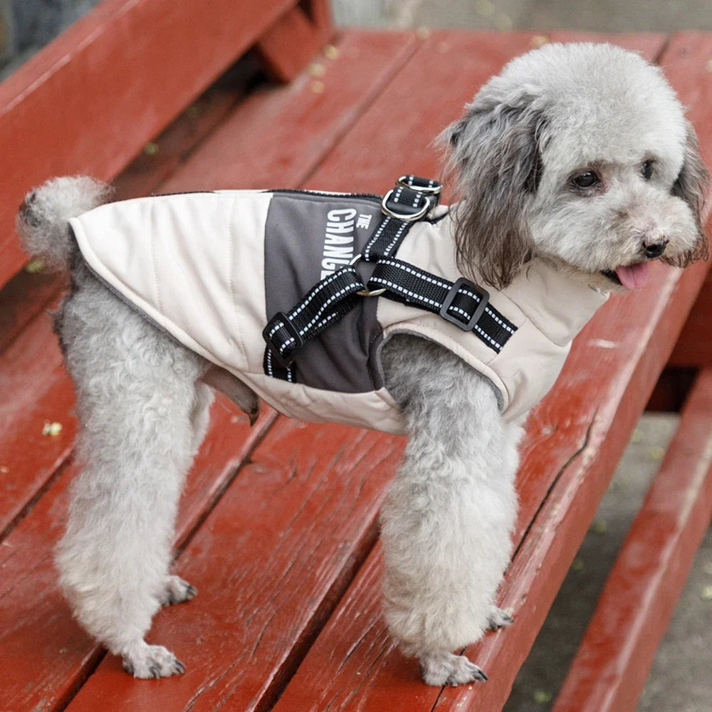 Warm Dog Coat with Built-In Harness – ShieldPlus™