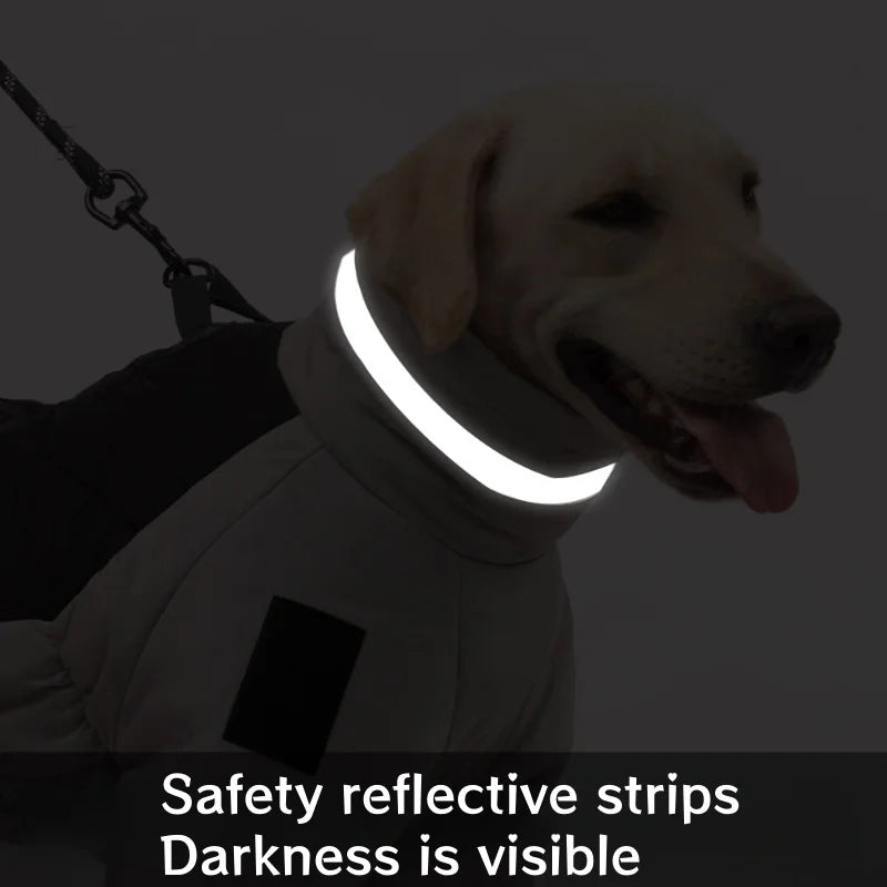 Warm Waterproof Dog Winter Coat – RainEssentials™