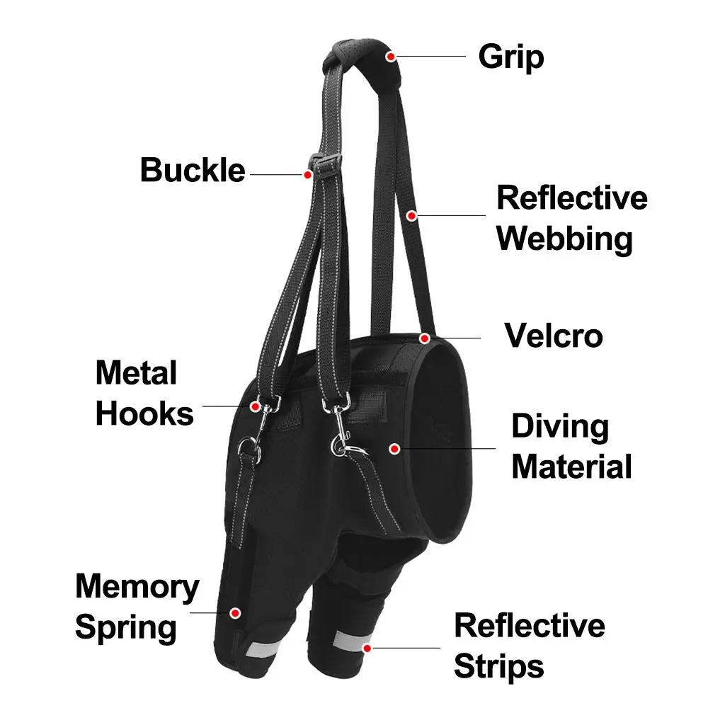 Dog Support Harness – TrailCore™