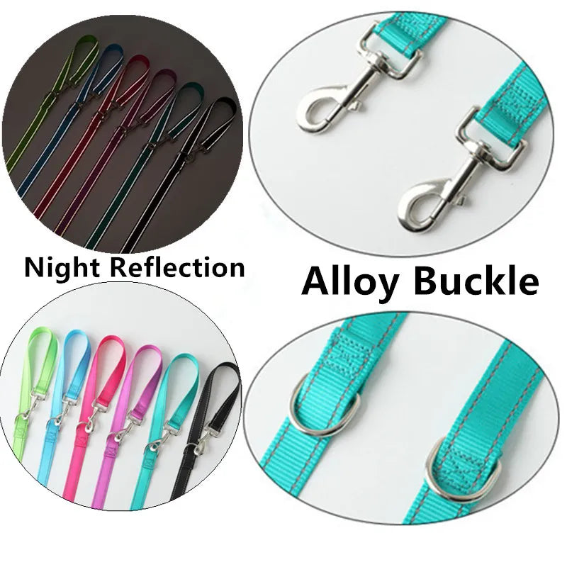 Hands-Free Reflective Dog Leash – LeadSense™