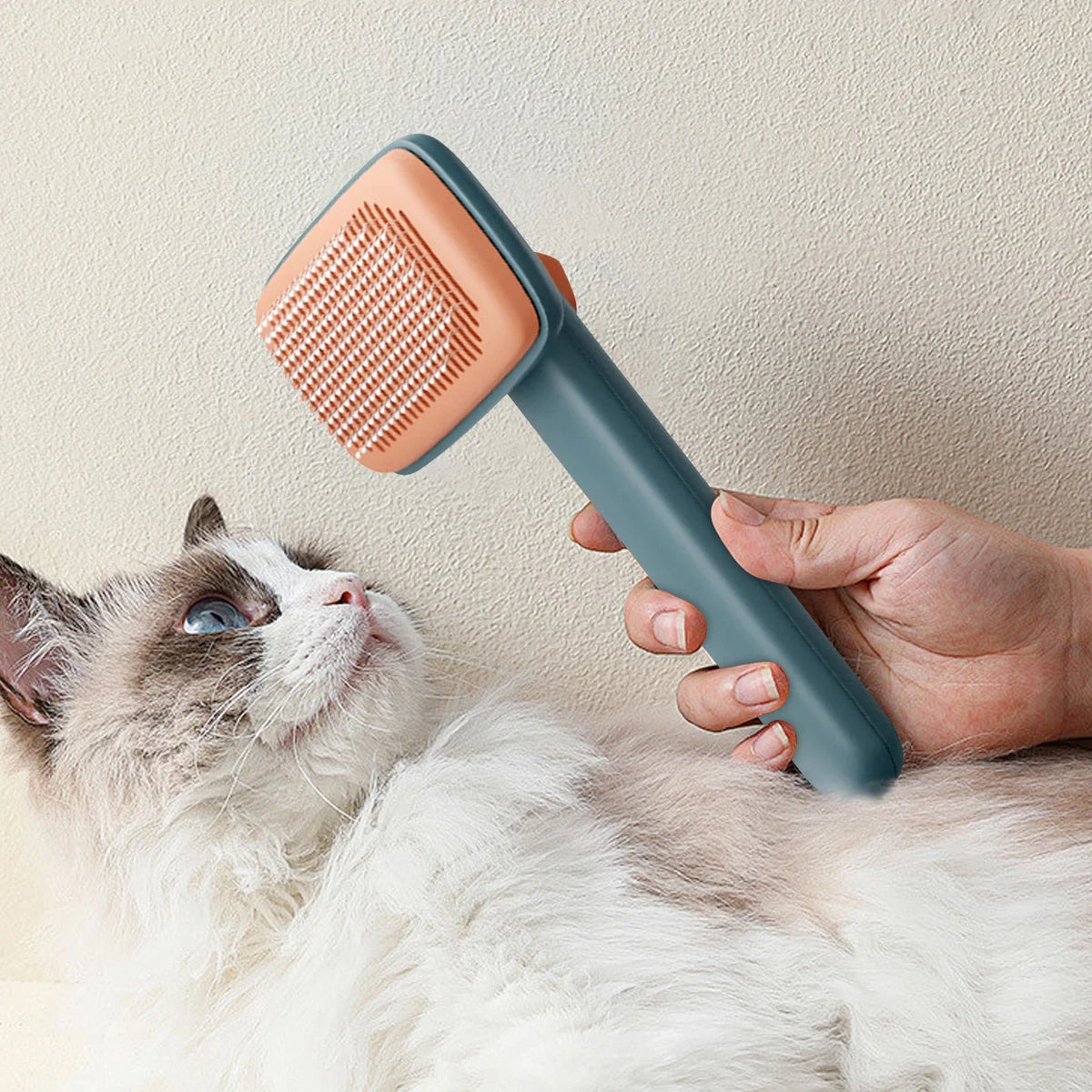 Everyday Pet Grooming Brush for Dogs & Cats – CareBalance™