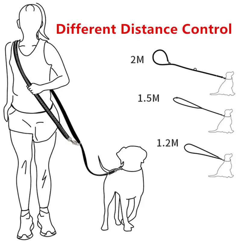 Hands-Free Reflective Dog Leash – LeadSense™