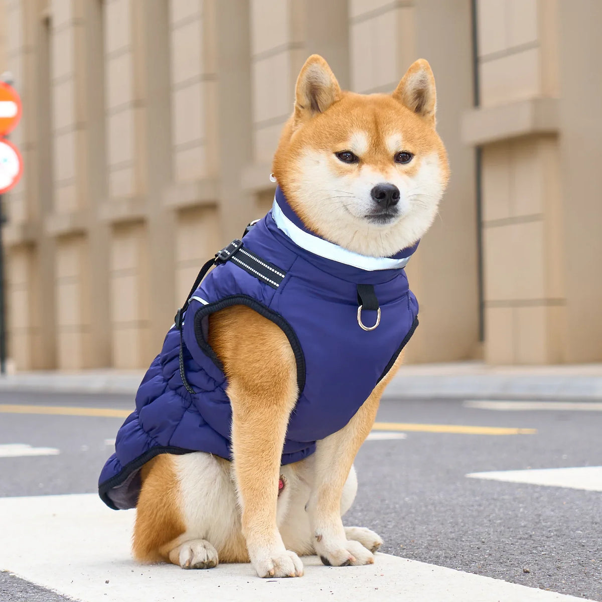 Warm Dog Coat for Large Breeds – SnugWorks™