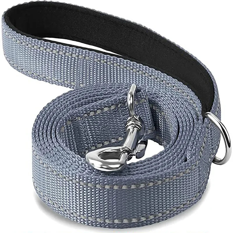 Tailented LeadFlow™ – Nylon Reflective Dog Leash for Everyday Walks