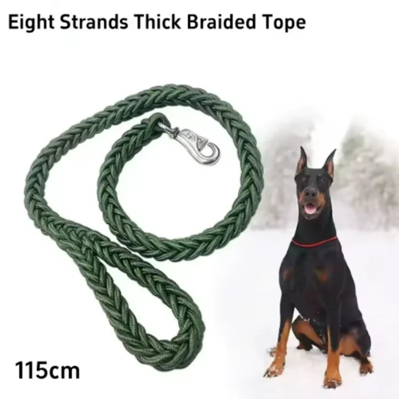 Heavy-Duty Nylon Dog Leash – FlexGlow™