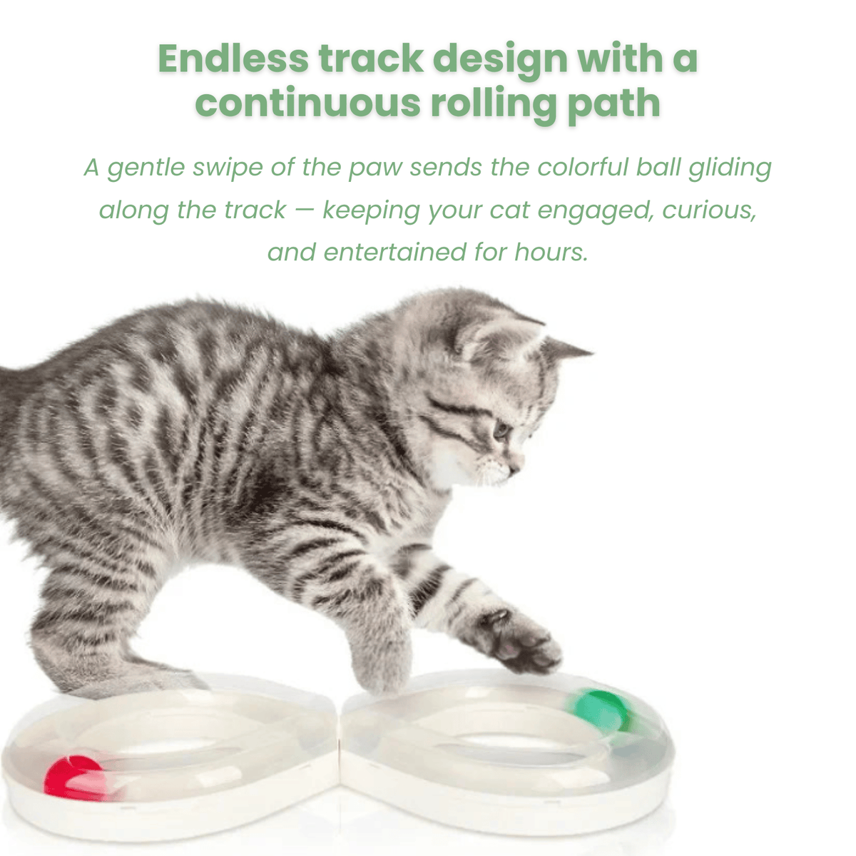 Figure-8 Interactive Cat Track with Rolling Ball – ChasePlus™