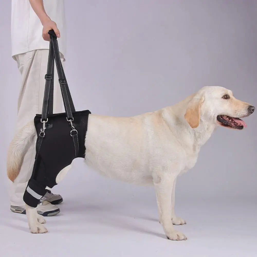 Dog Support Harness – TrailCore™