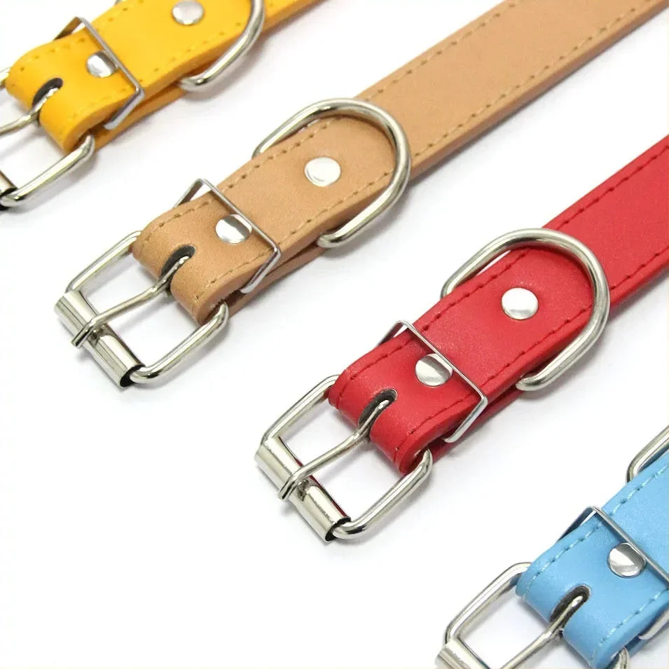 Personalized Dog & Cat Collar – LeadReady™