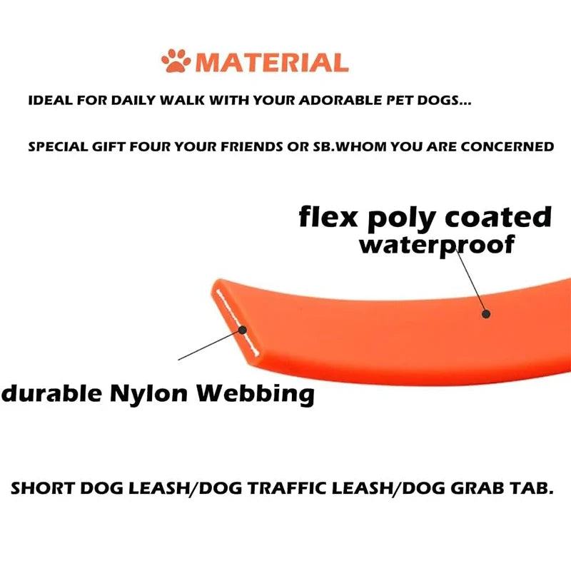 30cm Waterproof Dog Leash – HoldView™