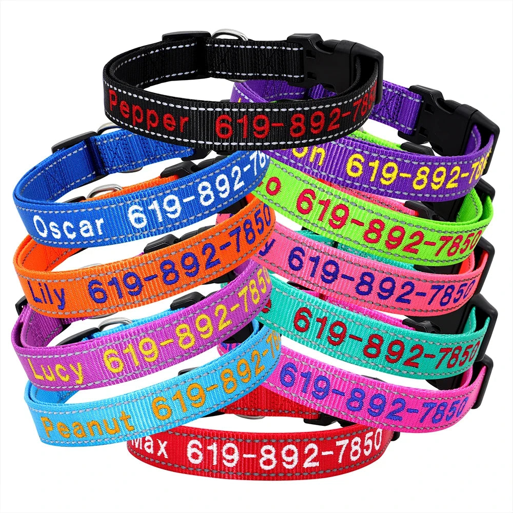 Tailented WalkAdventure™ – Nylon Adjustable Dog Collar for Everyday Wear & Walking