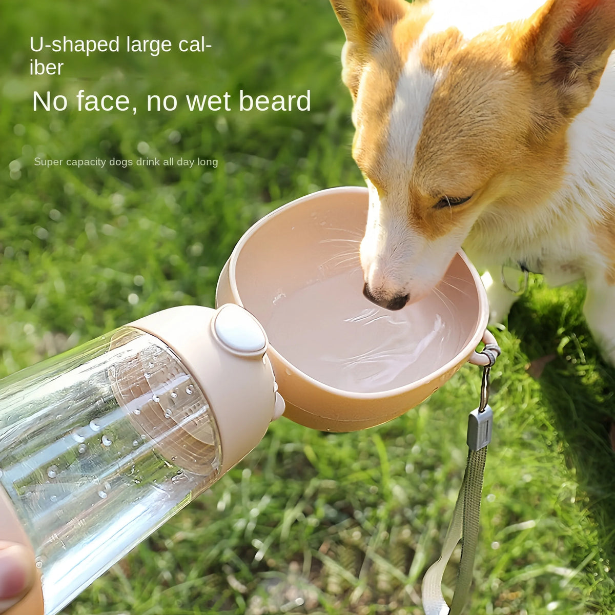 Portable Pet Water Bottle with Food Dispenser – WaterShield™