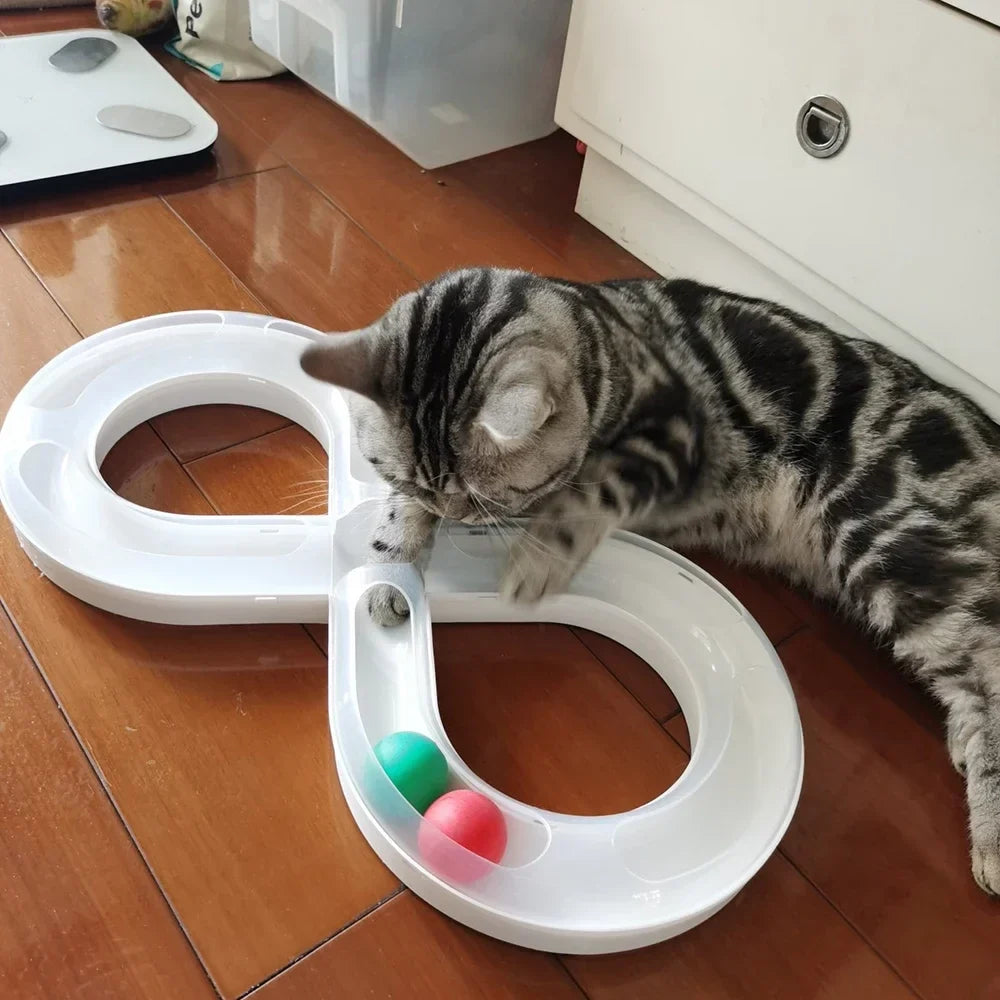 Figure-8 Interactive Cat Track with Rolling Ball – ChasePlus™