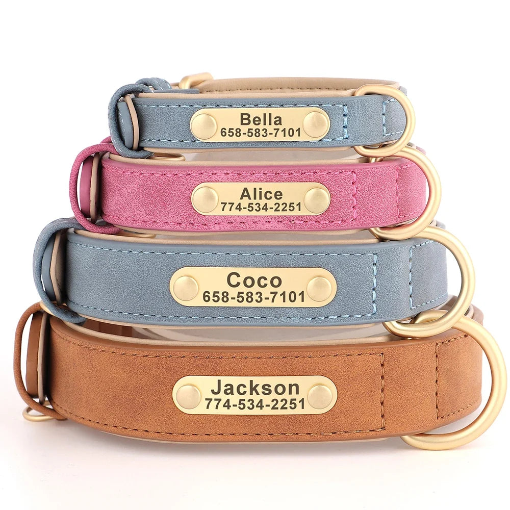 Tailented PawLink™ – Adjustable Dog Collar for Everyday Wear & Walking