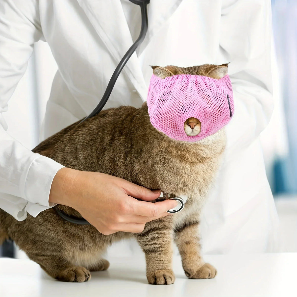 Adjustable Cat Grooming Muzzle – MotionReady™
