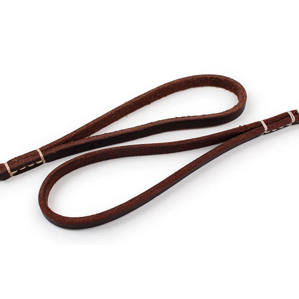 Tailented WalkPaws™ – Leather Dog Leash for Cats