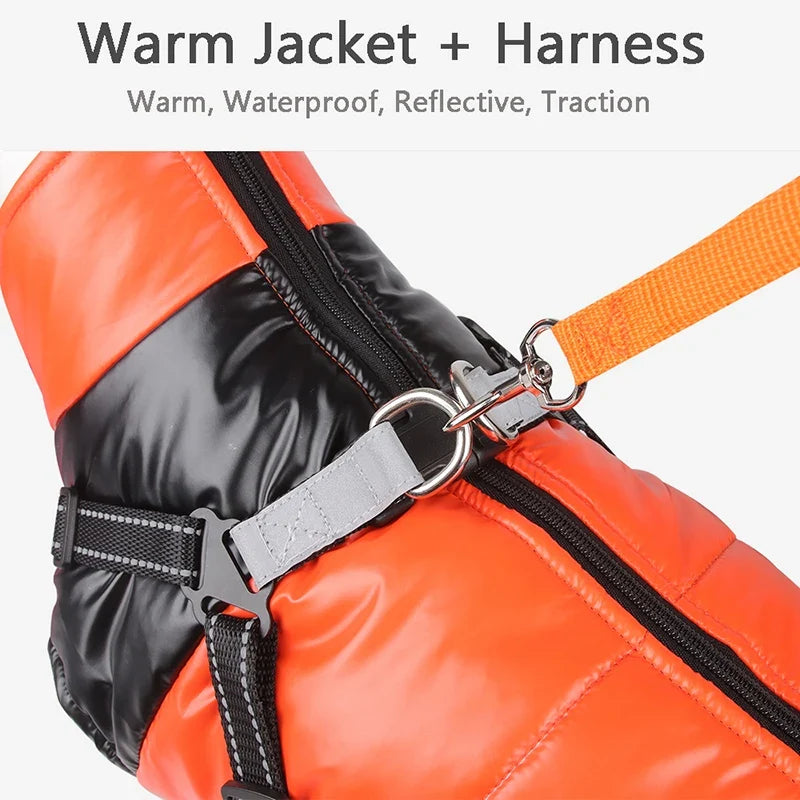 Warm Dog Coat with Integrated Harness – PawMate™