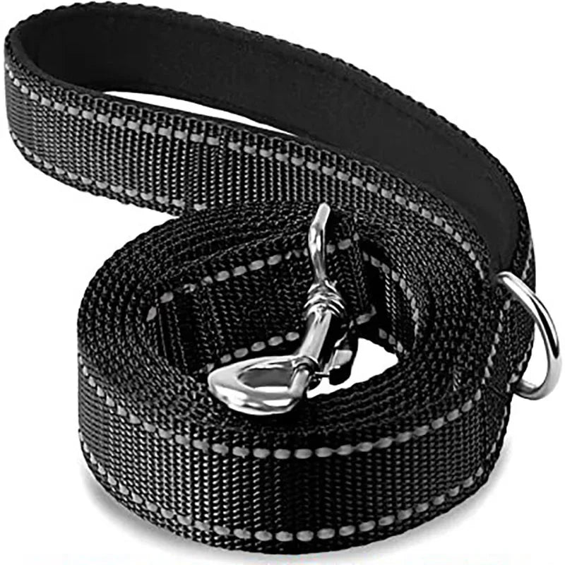 Tailented LeadFlow™ – Nylon Reflective Dog Leash for Everyday Walks