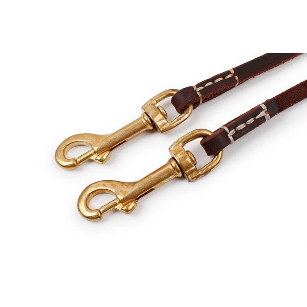 Tailented WalkPaws™ – Leather Dog Leash for Cats
