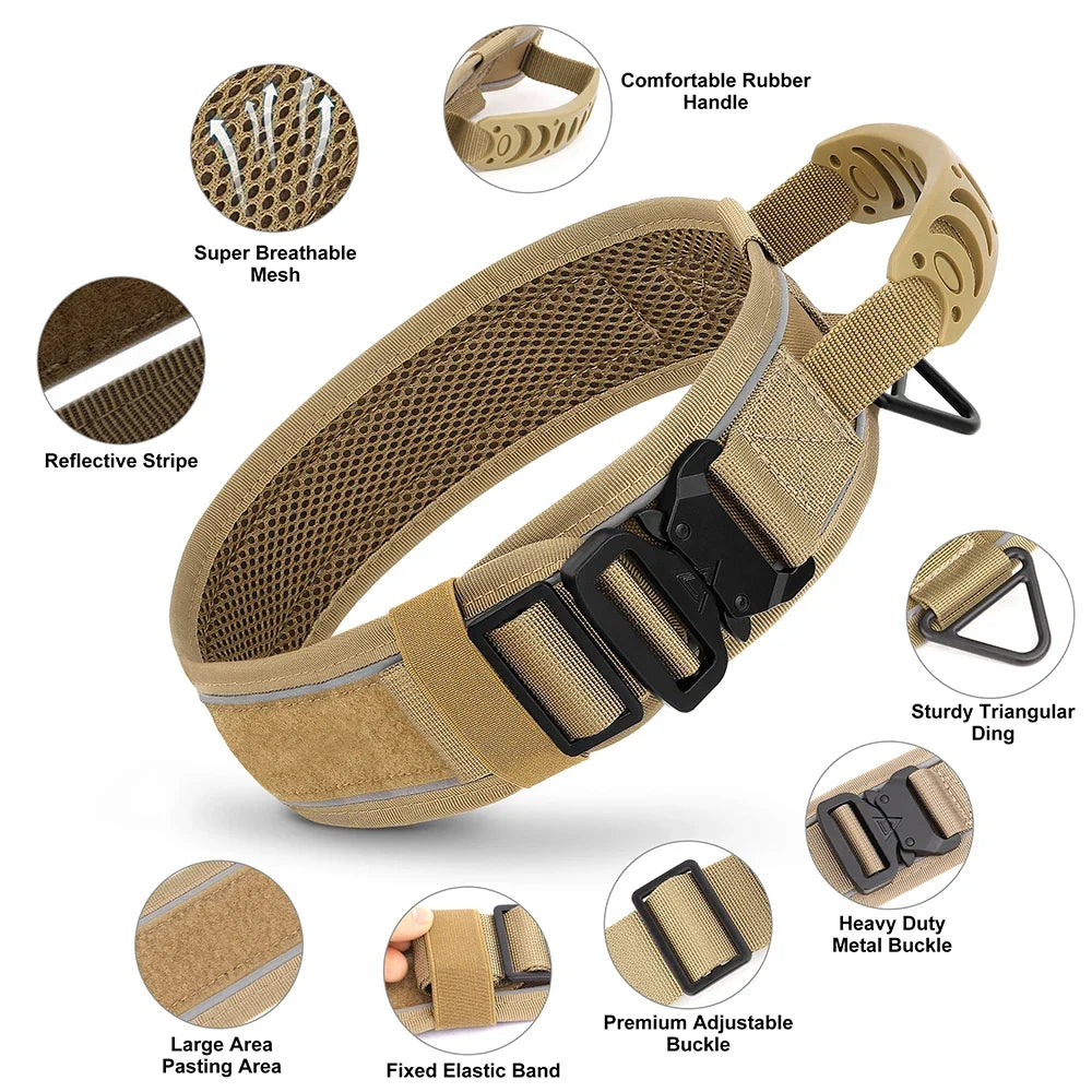 Nylon Dog Collar & Leash Set for Training – EverydayPure™