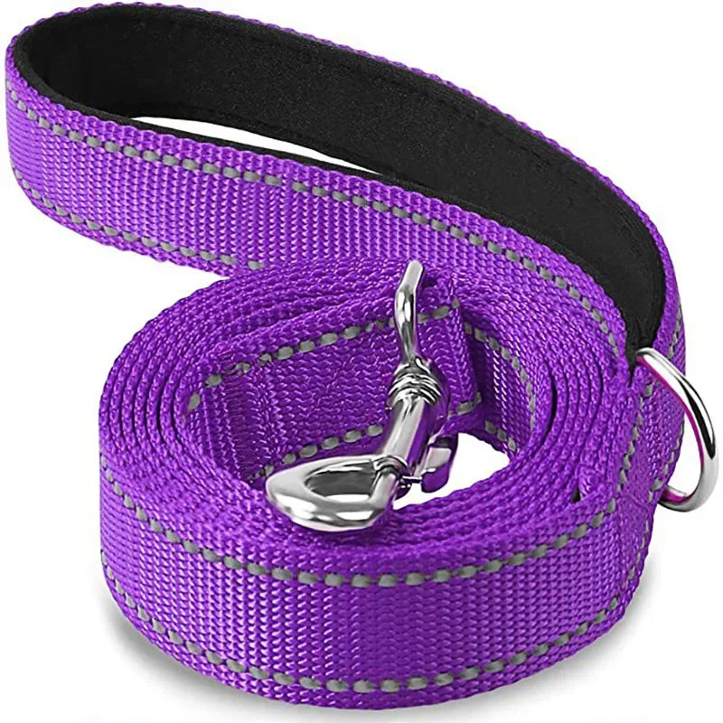 Tailented LeadFlow™ – Nylon Reflective Dog Leash for Everyday Walks