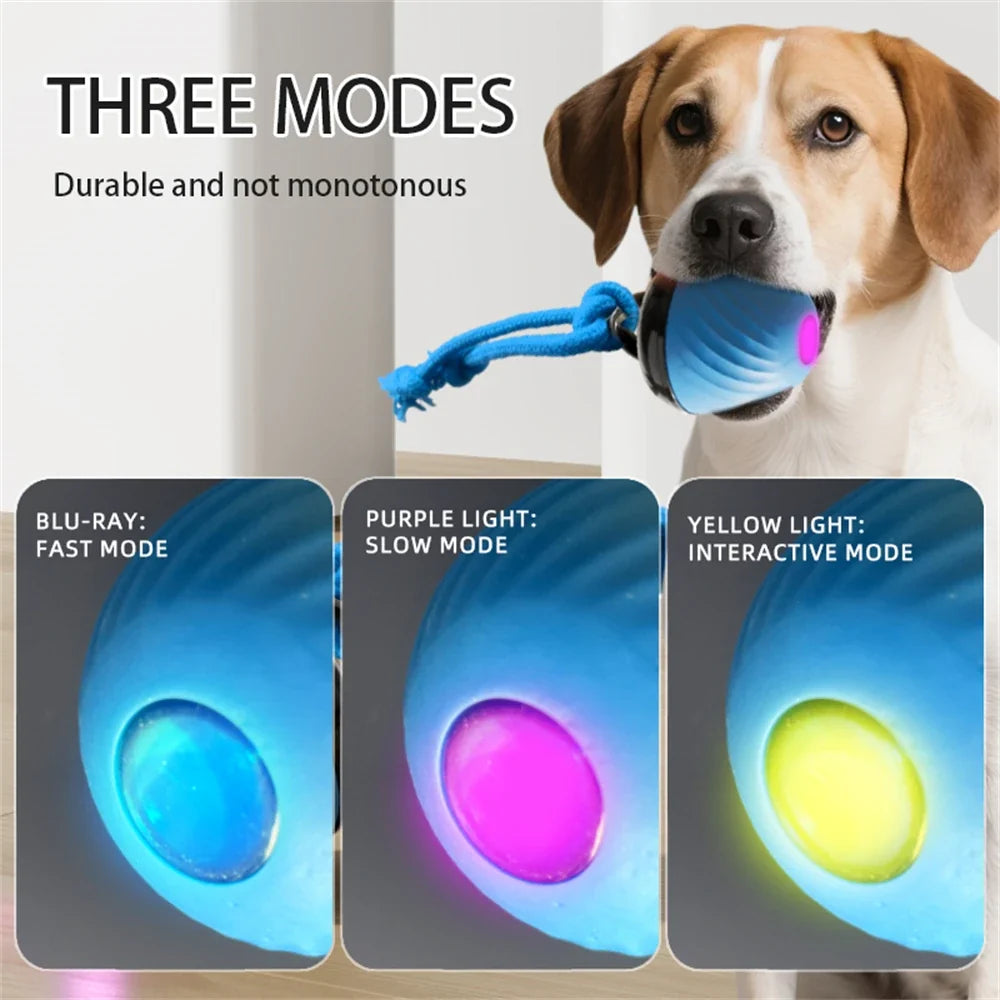 Interactive Moving Ball Toy for Dogs – TugMate™