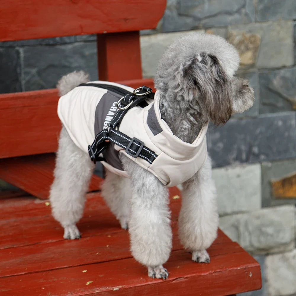 Warm Dog Coat with Built-In Harness – ShieldPlus™
