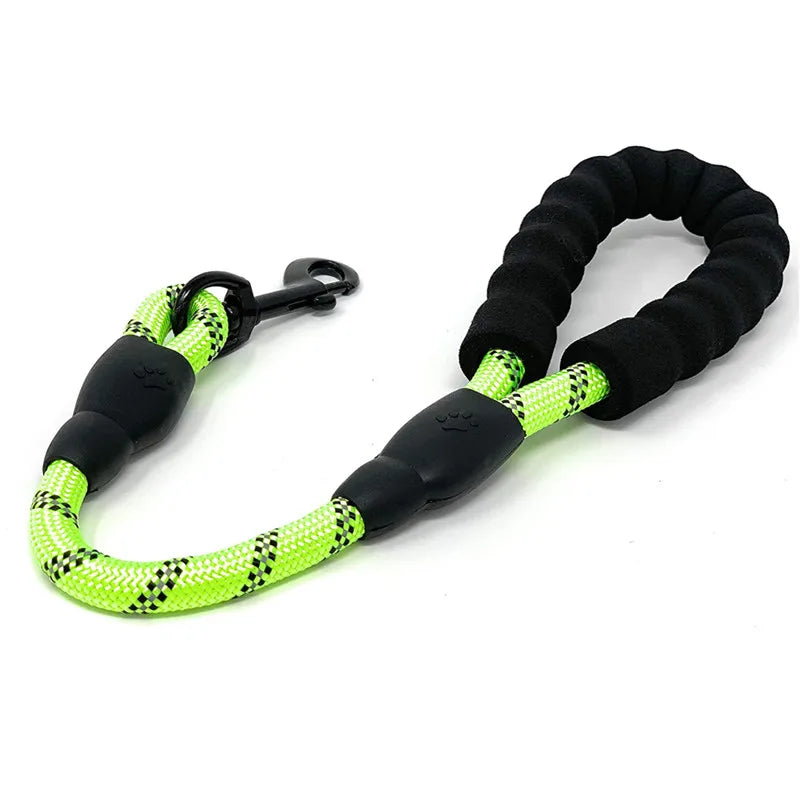 Nylon Reflective Dog Leash – TrailView™