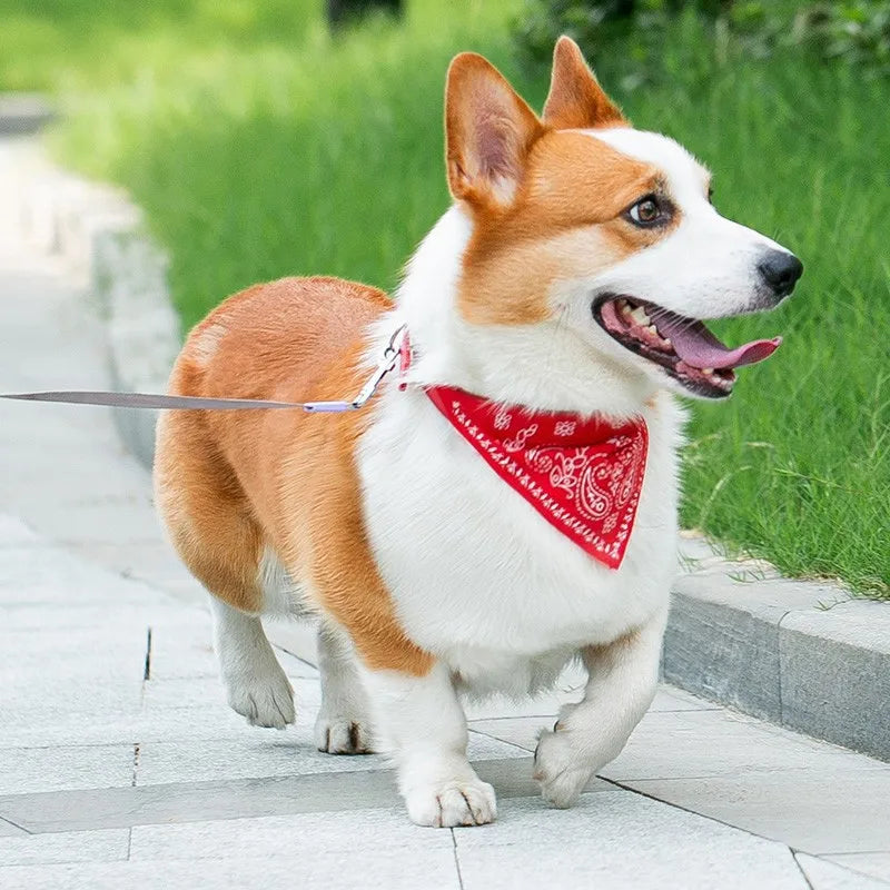 PU Leather Bandana Pet Collar – FrostFlow™