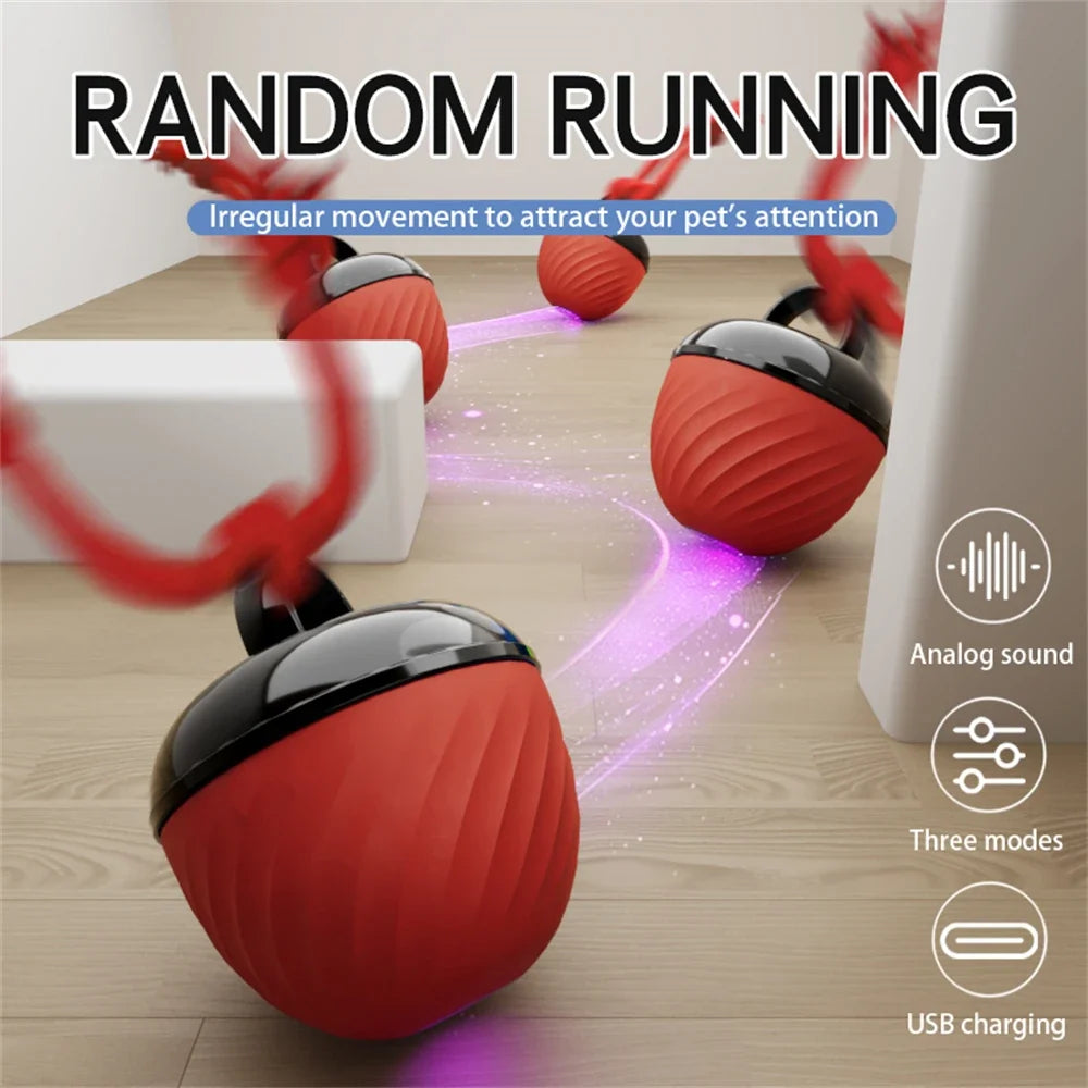 Interactive Moving Ball Toy for Dogs – TugMate™