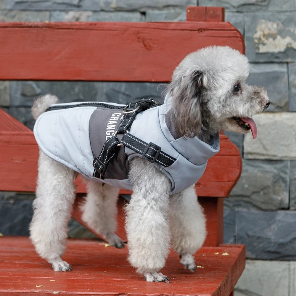 Warm Dog Coat with Built-In Harness – ShieldPlus™