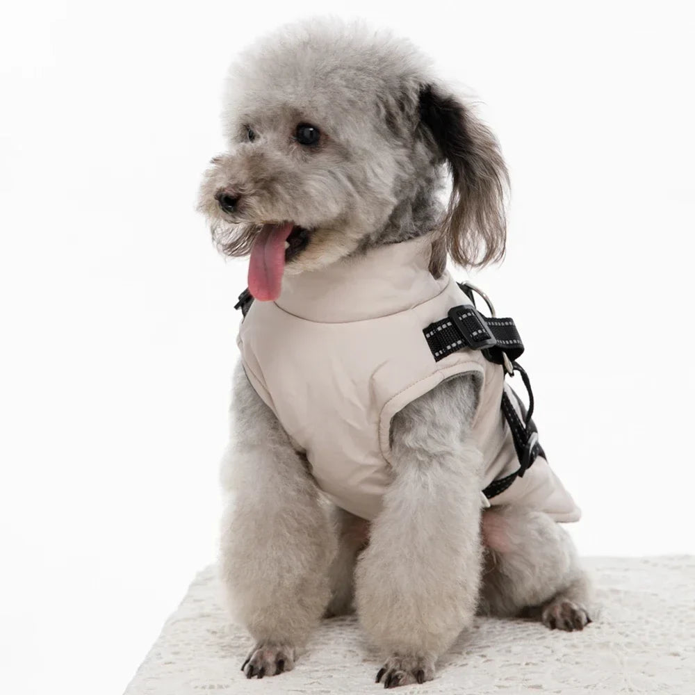 Warm Dog Coat with Built-In Harness – ShieldPlus™
