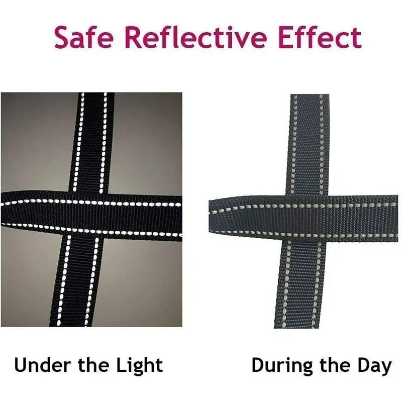 Tailented LeadFlow™ – Nylon Reflective Dog Leash for Everyday Walks