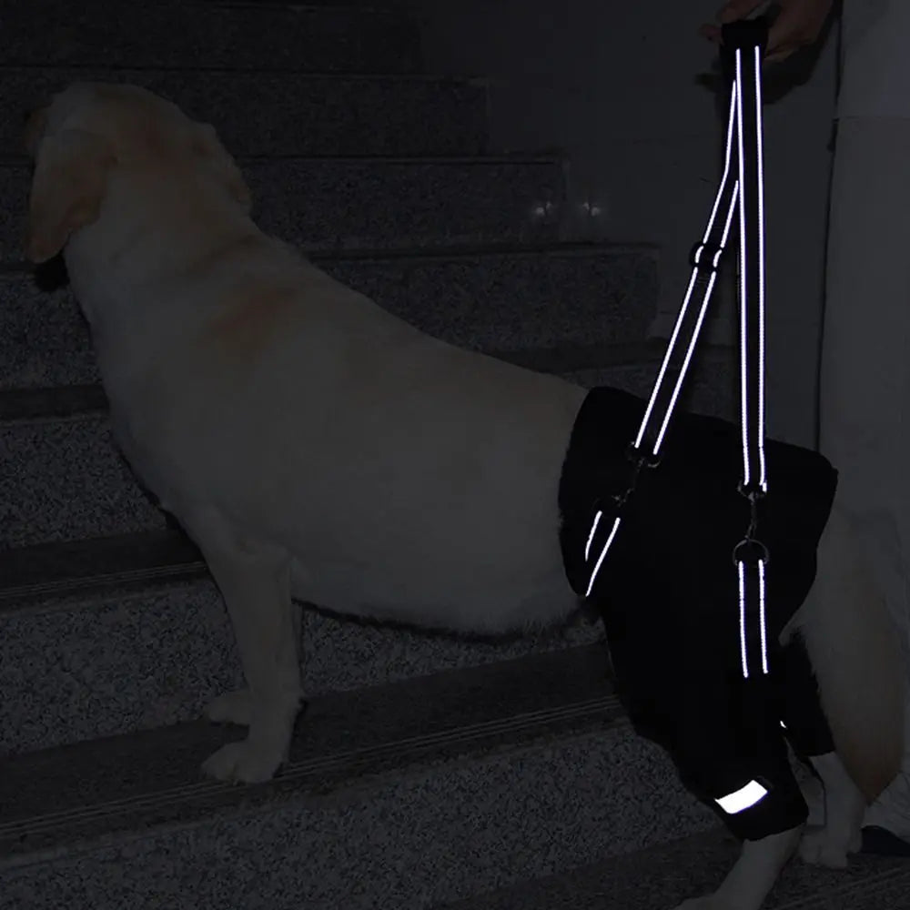 Dog Support Harness – TrailCore™