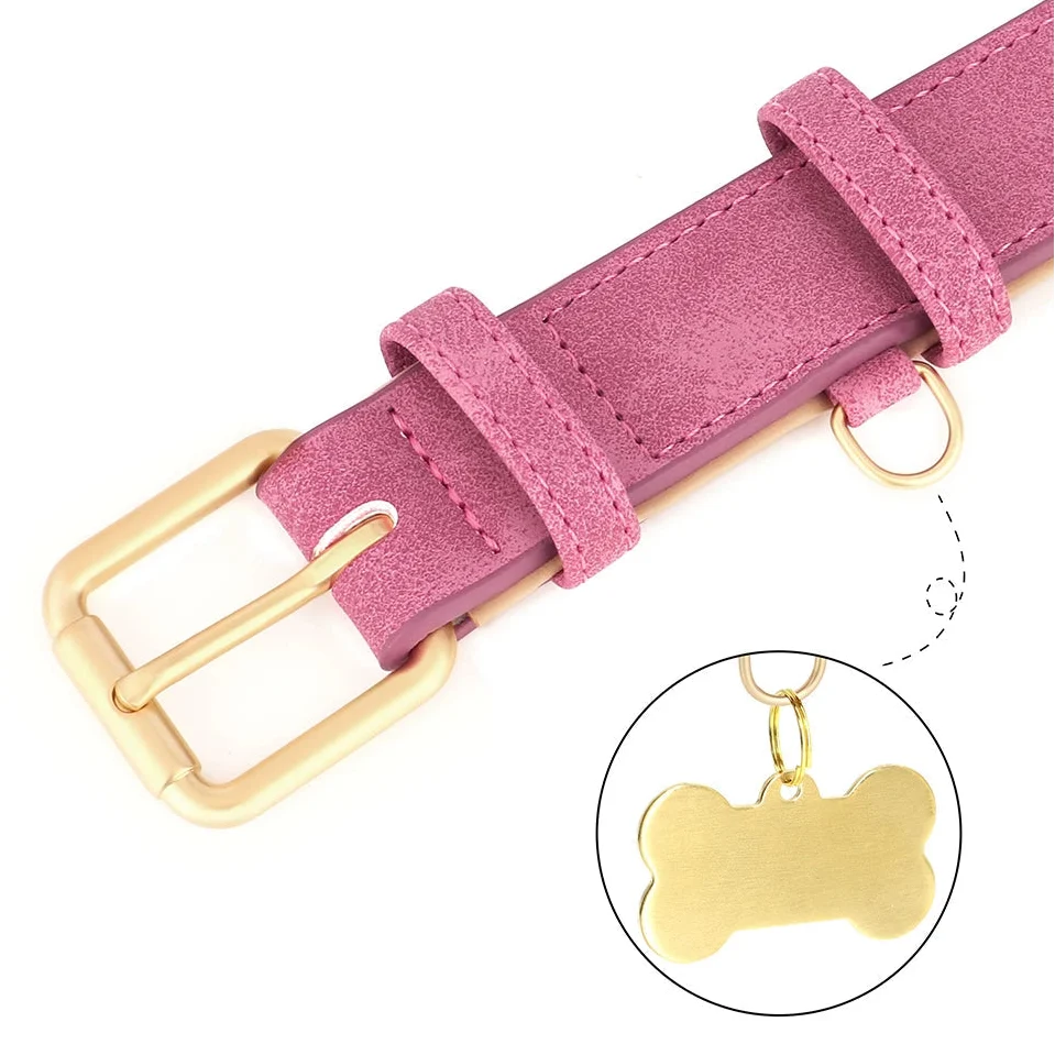 Tailented PawLink™ – Adjustable Dog Collar for Everyday Wear & Walking