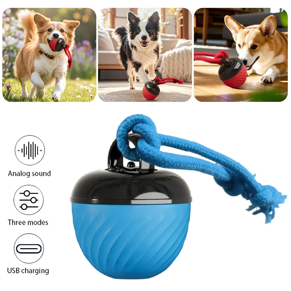 Interactive Moving Ball Toy for Dogs – TugMate™