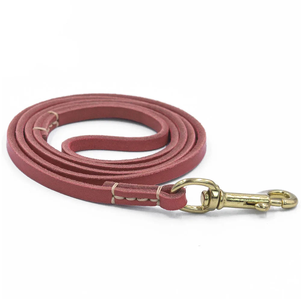 Tailented WalkPaws™ – Leather Dog Leash for Cats