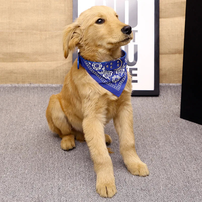 PU Leather Bandana Pet Collar – FrostFlow™