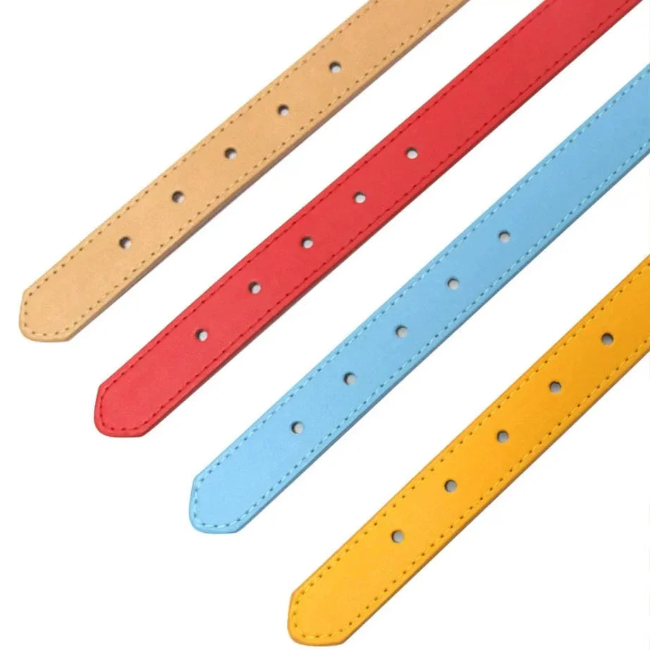 Personalized Dog & Cat Collar – LeadReady™