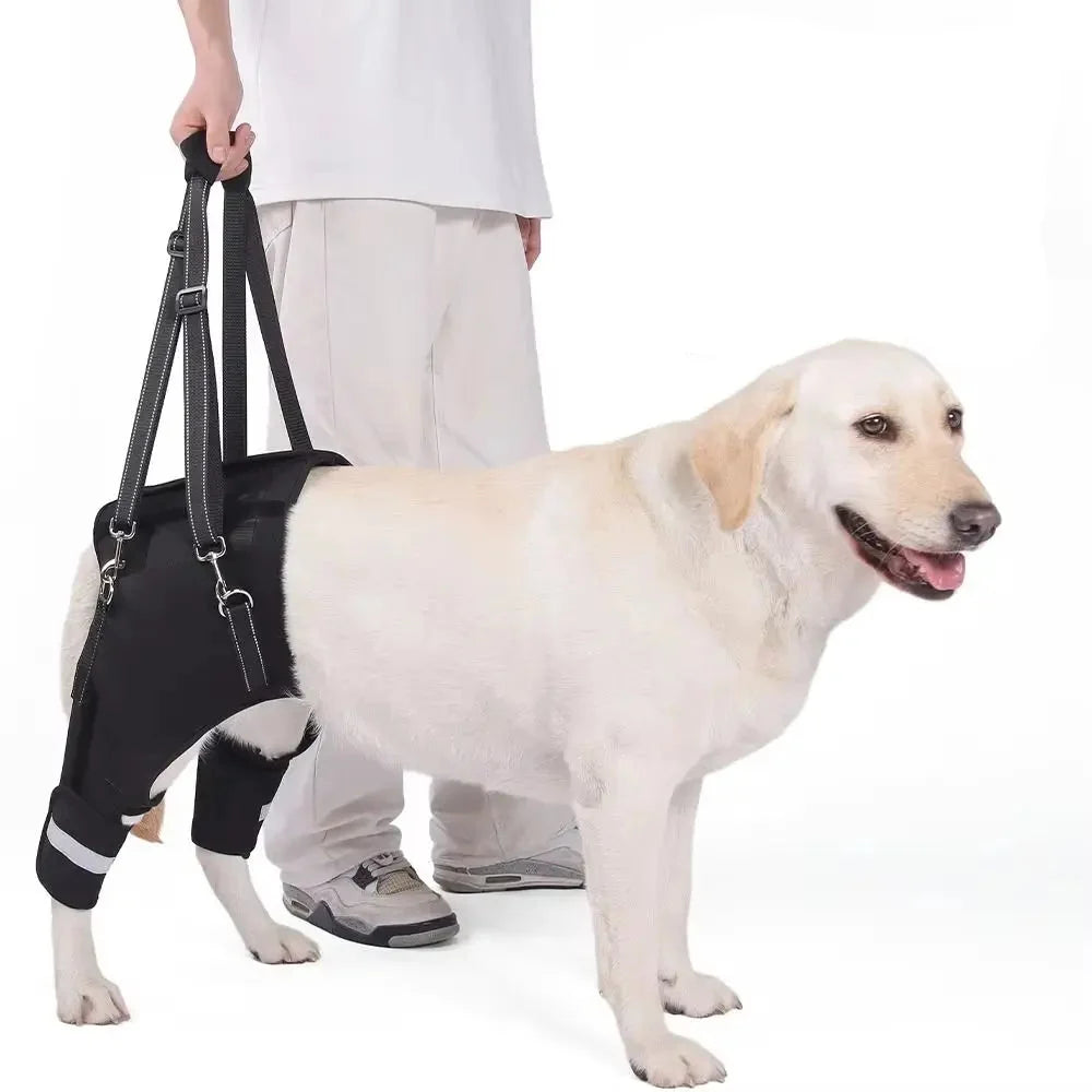 Dog Support Harness – TrailCore™