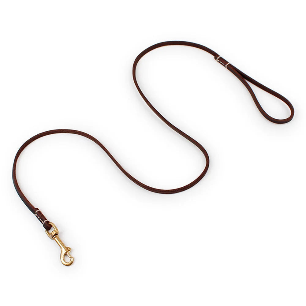 Tailented WalkPaws™ – Leather Dog Leash for Cats