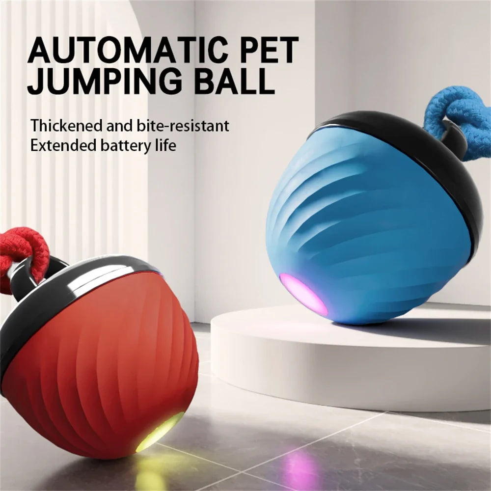 Interactive Moving Ball Toy for Dogs – TugMate™