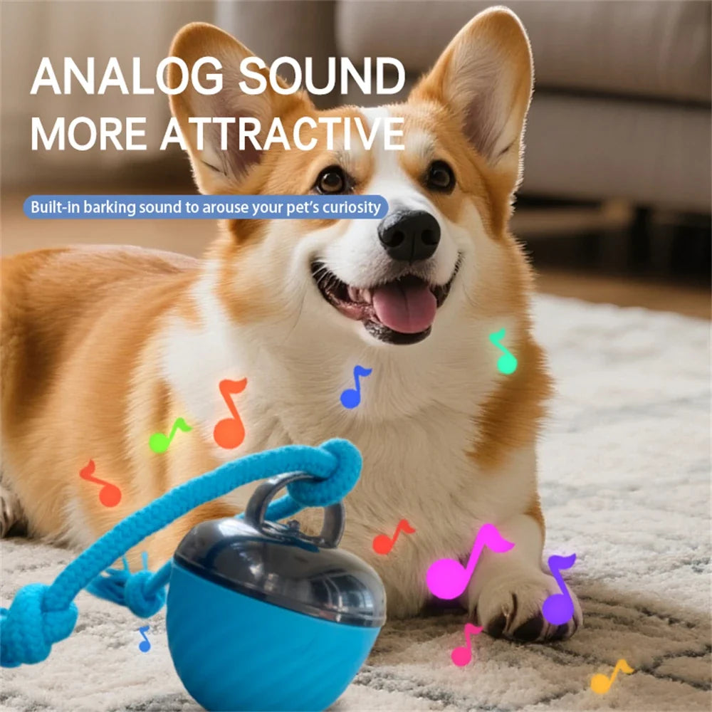 Interactive Moving Ball Toy for Dogs – TugMate™