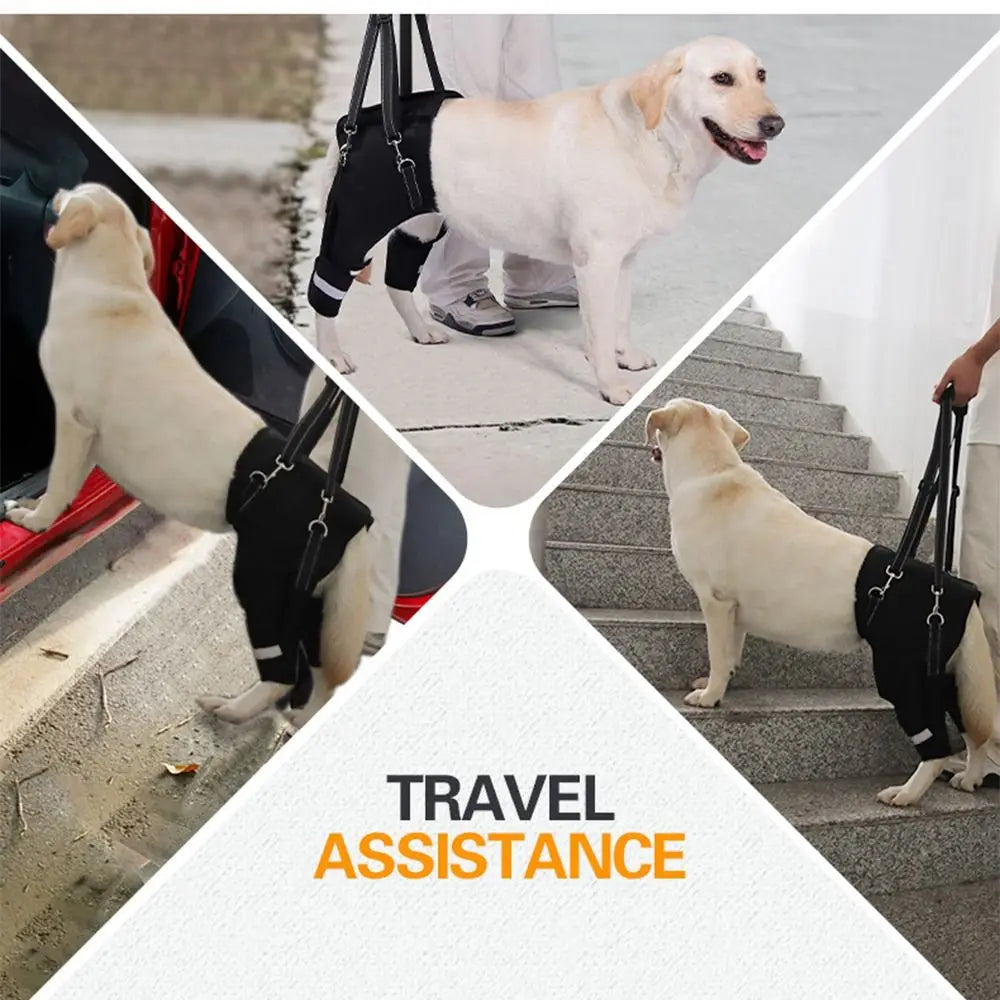 Dog Support Harness – TrailCore™